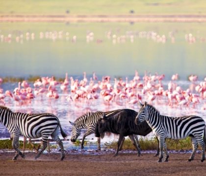 lake manyara safari tanzania