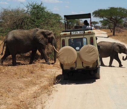 4 days Tanzania safari