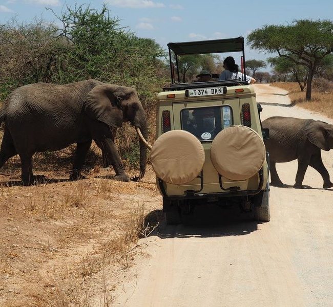 4 days Tanzania safari