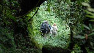 Rwanda Gorilla Trekking