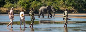 Kafue Safari Zambia