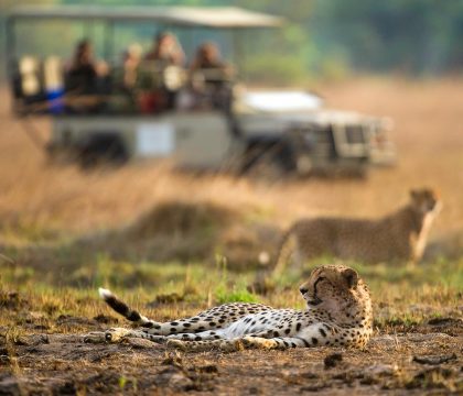 kafue safari