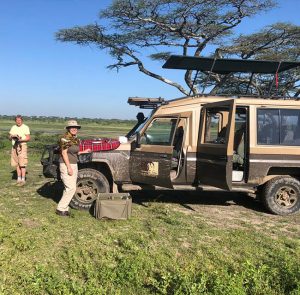 Tarangire safaris