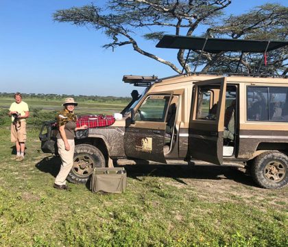 Tarangire safaris