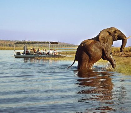 Lower Zambezi Safari