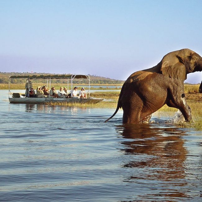 Lower Zambezi Safari