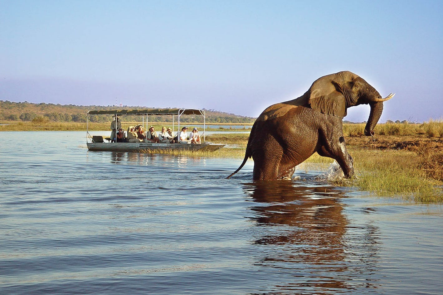 Lower Zambezi Safari