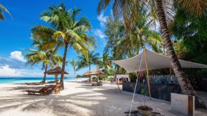 safari and Zanzibar beach