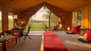 Masai mara Camping Safari