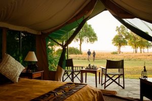Masai mara camping Safari