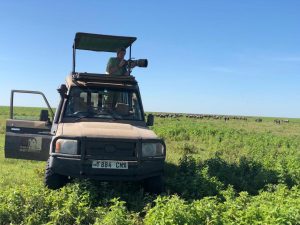 8 days Tanzania safari