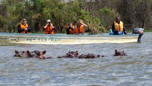 Lake Naivasha boat tour