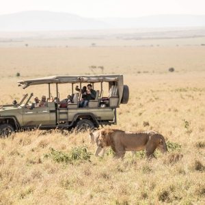 Maasai Mara Safari