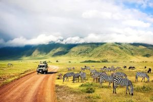 Ngorongoro safari