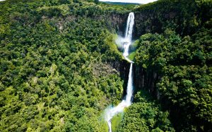 Aberdare National Park safari
