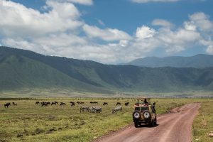 Ngorongoro safari