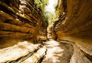 Hells Gate national Park