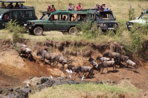 Maasai Mara Safari
