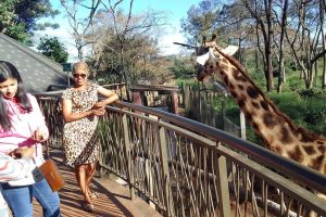 giraffe center and Elephant orphanage