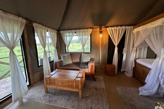 Into Wild Africa Camp
