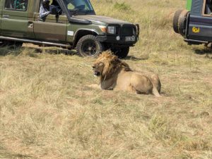 Maasai Mara Safari