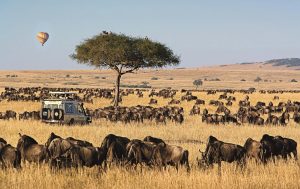 Maasai Mara Safari