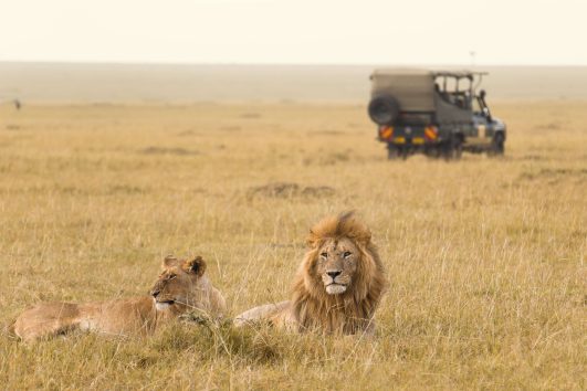8 Days Amboseli and Masai Mara Safari in Kenya & Uganda