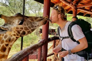 giraffe center and Elephant orphanage