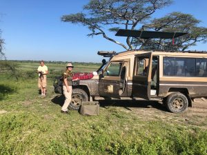 Tanzania luxury safari