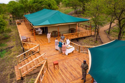 Acacia Migration Camp