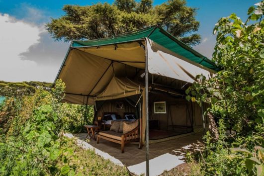 Ang'ata Ngorongoro