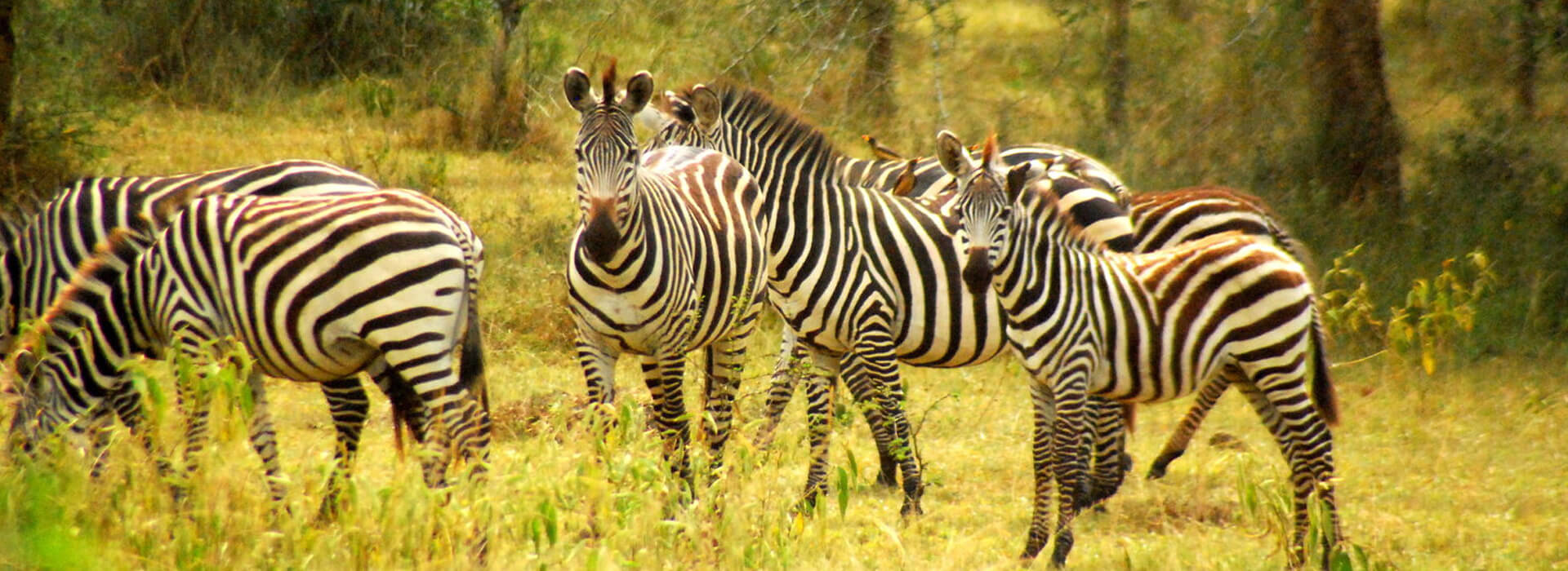 Lake Mburo National Park
