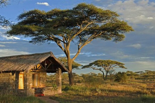Ndutu Safari Lodge
